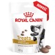 ROYAL CANIN Dog Urinary Treats VHN - dog treat - 230g ROYAL CANIN Dog Urinary Treats VHN - dog treat - 230g