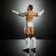 WWE Elite Collection CM Punk Action Figure