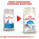 ROYAL CANIN Indoor 27 - dry cat food - 2 kg ROYAL CANIN Indoor 27 - dry cat food - 2 kg
