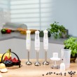 Zelmer ZHB4562L Immersion blender Pulsar 800 W Lime