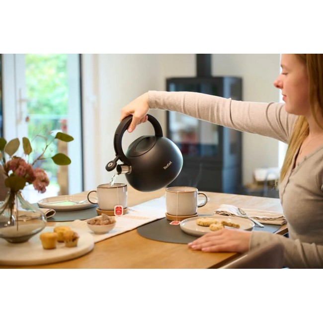 Non-Electric Kettle TEFAL N4180410, Black, Matte