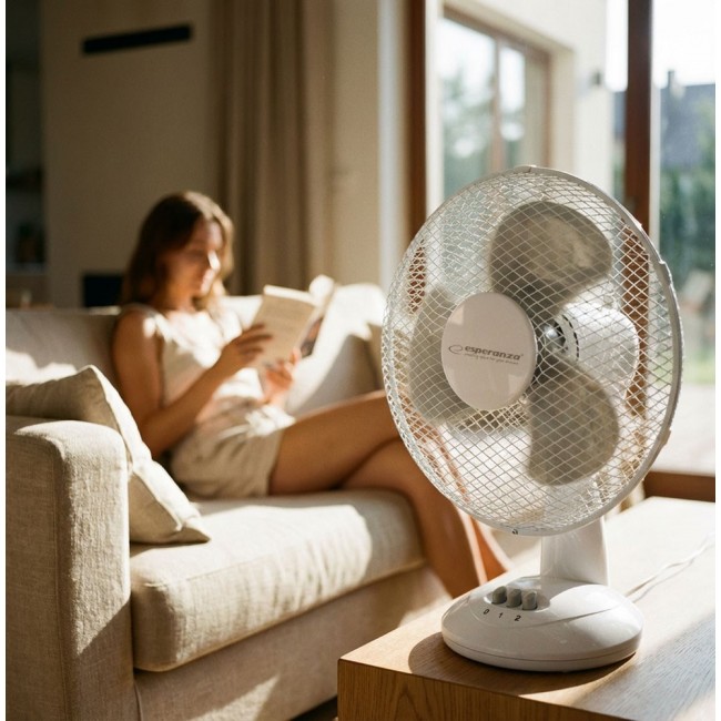 Desktop fan 9