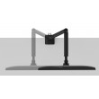 Neomounts desk monitor arm