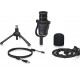 Behringer D2 Black Podcast microphone Behringer D2 Black Podcast microphone