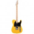 Arrow Telico TL 11 Peanut Butter Maple/Black - electric guitar