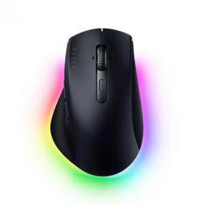 Razer Pro Click V2 - ergonomic wireless mouse