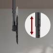 Maclean ceiling mount for TV, max load 60kg, 43-86