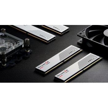 G.Skill Ripjaws S5 / F5-6000J3040F16GX2-RS5W memory module 32 GB 2 x 16 GB DDR5 4800 MT/s 288-pin DIMM