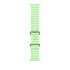 Apple Natural Titanium Finish Band Green Fluoroelastomer, Titanium Apple Natural Titanium Finish Band Green Fluoroelastomer, Titanium