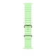 Apple Natural Titanium Finish Band Green Fluoroelastomer, Titanium Apple Natural Titanium Finish Band Green Fluoroelastomer, Titanium
