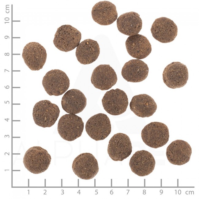 WOLFSBLUT VetLine Hypoallergenic Horse - dry dog food - 12kg WOLFSBLUT VetLine Hypoallergenic Horse - dry dog food - 12kg