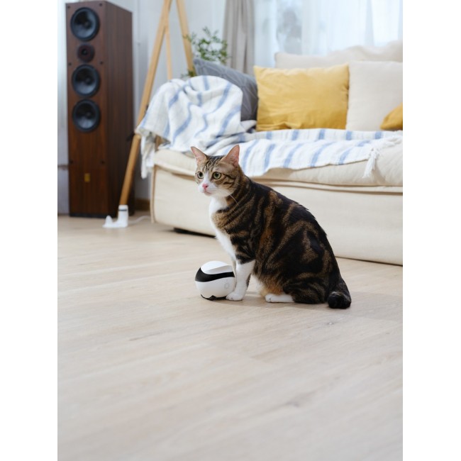 Enabot EBO SE Robot IP Camera Compact N/A MP N/A 16GB external memory, support 256GB at maximum