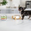 VETEXPERT Raw Paleo Pate Mini Puppy Beef - wet food for puppies - 150 g VETEXPERT Raw Paleo Pate Mini Puppy Beef - wet food for puppies - 150 g