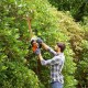 Black & Decker BEHTS401 power hedge trimmer Double blade 500 W 2.54 kg