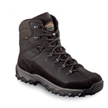 Meindl Rauris Lady GTX Female Adult Brown
