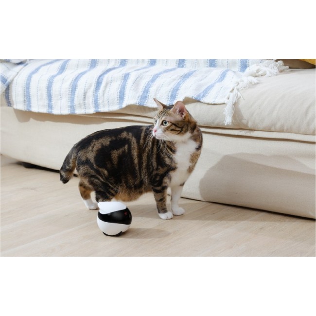 Enabot EBO SE Robot IP Camera Compact N/A MP N/A 16GB external memory, support 256GB at maximum Enabot EBO SE Robot IP Camera Compact N/A MP N/A 16GB external memory, support 256GB at maximum