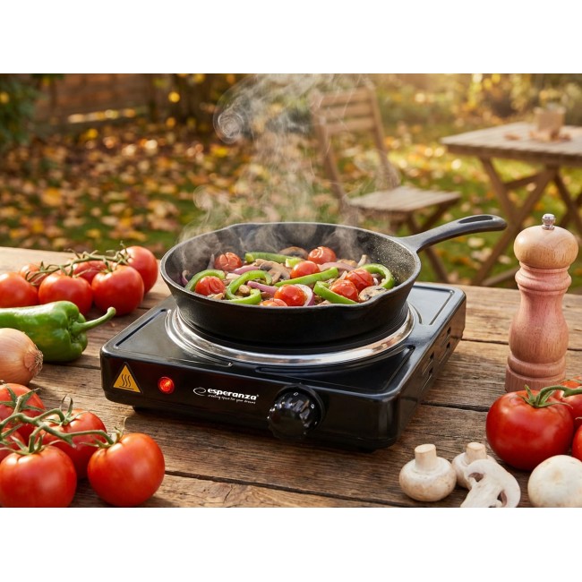 Esperanza EKH002K hob Black Sealed plate 1 zone(s)