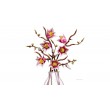 LEGO BOTANICALS 11510 Magnolia Branches