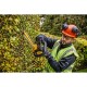 18V XR Brushless Hedge Trimmer 55cm, Carton 18V XR Brushless Hedge Trimmer 55cm, Carton