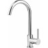 Kitchen faucet