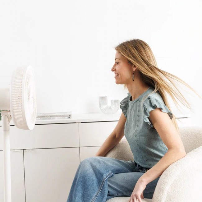 Taurus Boreal 12 Go cordless floor fan 34 cm