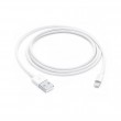 Apple Lightning to USB Cable (1m) Apple Lightning to USB Cable (1m)