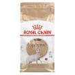 Royal Canin Sphynx dry cat food 2 kg