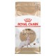 Royal Canin Sphynx dry cat food 2 kg Royal Canin Sphynx dry cat food 2 kg