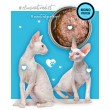 3COTY Duck - wet cat food - 80g