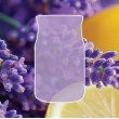 Mini Candle LEMON LAVENDER YANKEE 37 g
