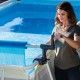 Intex 28051 Pool Covering Pool solar cover Intex 28051 Pool Covering Pool solar cover