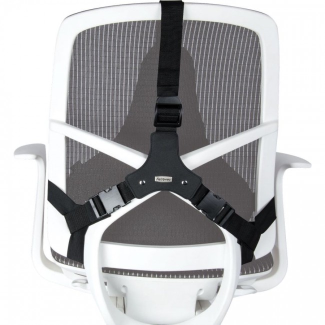 Fellowes Ergonomics professional back support pillow Fellowes Ergonomics professional back support pillow