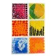 Tullo Sensory path textured sensory tiles with liquid, 6 pcs. Tullo Sensory path textured sensory tiles with liquid, 6 pcs.