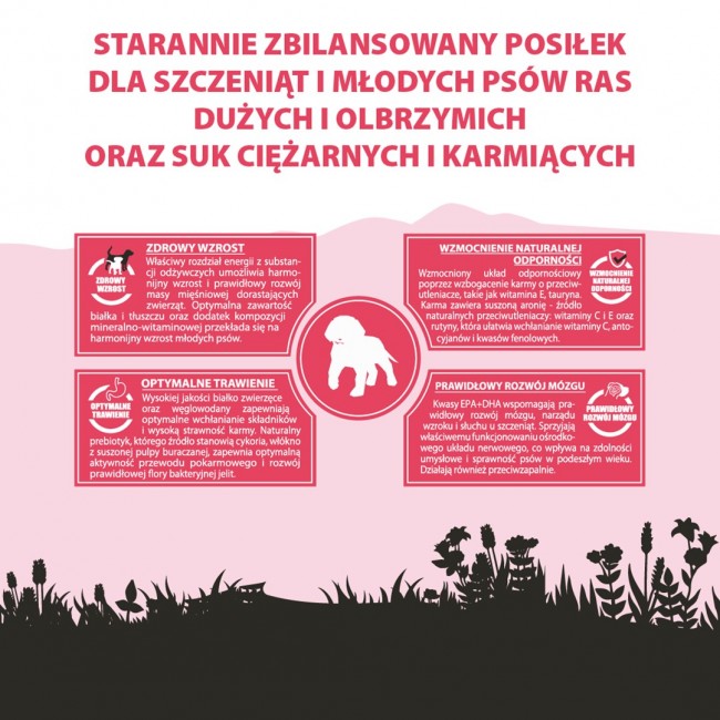 PUPIL Premium Junior Large and extra large breeds Rich in beef - dry dog food - 12kg