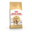 ROYAL CANIN FBN Bengal Adult - dry cat food - 10kg
