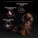 PURINA Pro Plan Sensitive Skin Small & Mini Adult Salmon - dry dog food - 700g PURINA Pro Plan Sensitive Skin Small & Mini Adult Salmon - dry dog food - 700g