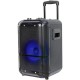Denver TSP-306 Public Address (PA) speaker