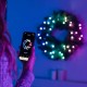Twinkly pre-lit wreath 50 RGB LED Green wire Plug type C Twinkly pre-lit wreath 50 RGB LED Green wire Plug type C