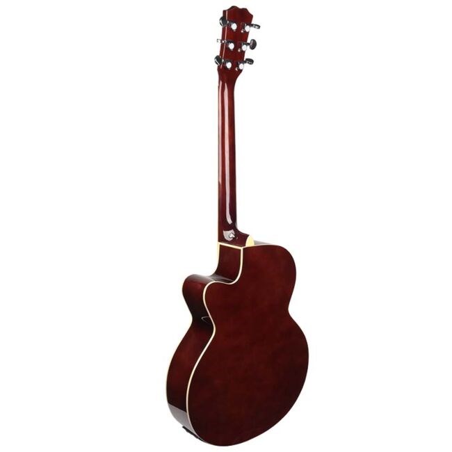 V-TONE EAG SET SB electroacoustic guitar. + amplifier