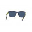 POLAROID PLD 2139/S FLL56C3 sunglasses