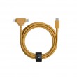 Native Union Belt Cable Duo USB cable 1.5 m USB C USB C/Lightning Yellow