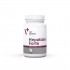 VETEXPERT Hepatiale Forte Large breeds - supplements for dogs - 40 tablets