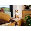 LEGO IDEAS 21376 Orange Cat