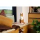 LEGO IDEAS 21376 Orange Cat