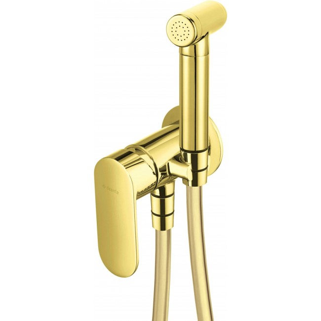 Concealed bidet mixer with bidetta shower head