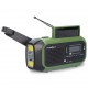 Nedis RDDBCR2000GN radio Portable Digital Black, Green