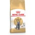 ROYAL CANIN British Shorthair FBN Adult - dry cat food - 400g