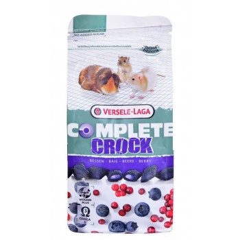 VERSELE LAGA Complete Crock Berry - treat for rodents - 50g