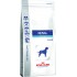 Royal Canin Renal Special - dry dog food - 2 kg