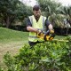 DeWALT DCM563P1-QW power hedge trimmer Single blade 3.4 kg DeWALT DCM563P1-QW power hedge trimmer Single blade 3.4 kg